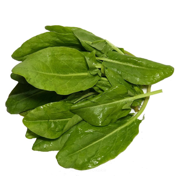 Produktfoto zu Sauerampfer Bund