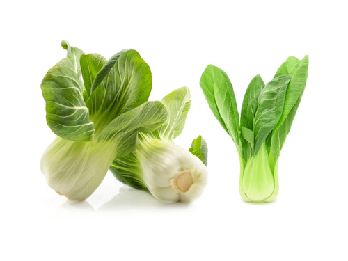Pak Choi_Bok Choy