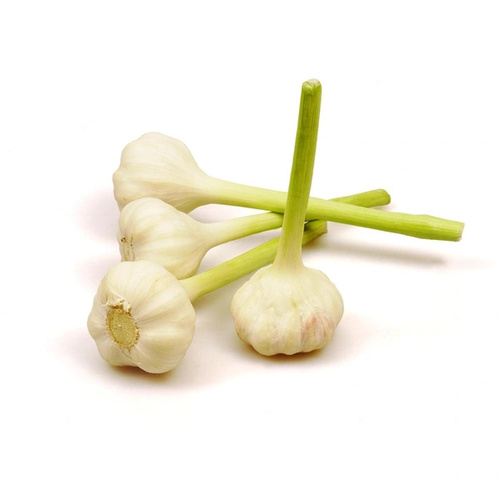 Knoblauch