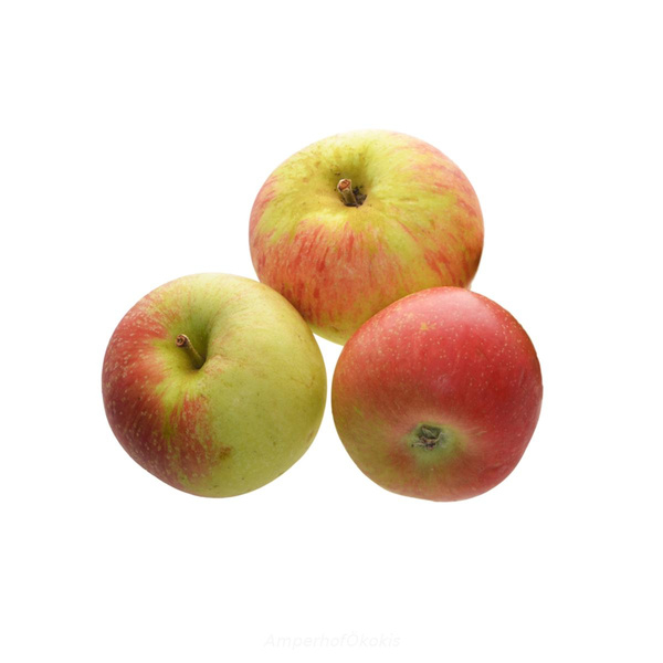 Produktfoto zu Äpfel Discovery