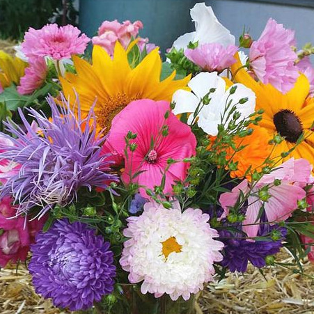 KI generiert: Ein bunter Strauß aus verschiedenen Blumen, darunter Sonnenblumen, Nelken und Astern.