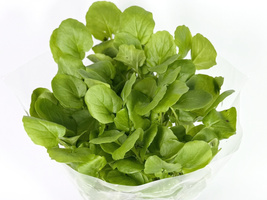 KI generiert: Grüne Blätter eines Salates oder Krauts, in einer durchsichtigen Verpackung präsentiert.