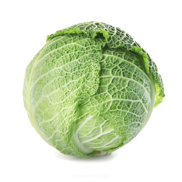 Produktfoto zu Wirsing