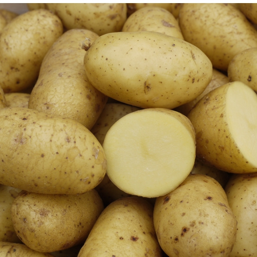 Auf Augenhöhe mit unseren regionalen Familienbetrieben TUT GUT!