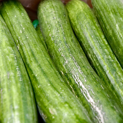 Produktfoto zu Schlangengurken Kiste 12 Stück