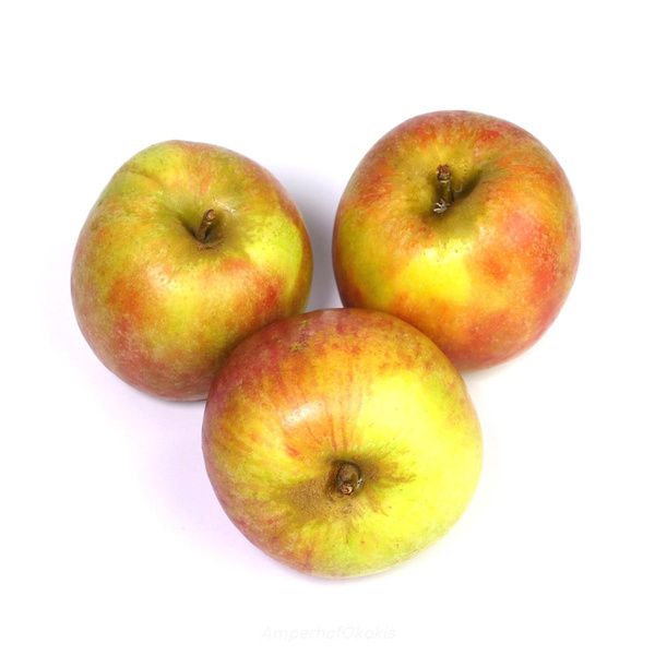 Produktfoto zu Apfel Holsteiner Cox
