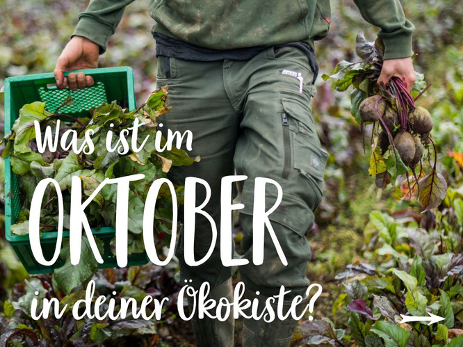 Saisonkalender Oktober