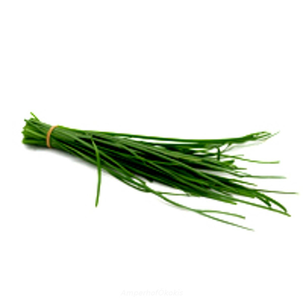 Produktfoto zu Schnittknoblauch Bund