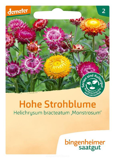 product photo for Saat: Hohe Strohblume