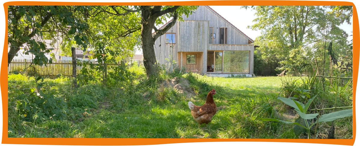 Biohof-Braun-Huhn
