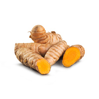KI generiert: Das Bild zeigt die Wurzel der Kurkuma-Pflanze, geschnitten, um das leuchtend orange Innere zu zeigen. Kurkuma wird oft als Gewürz und Naturheilmittel verwendet.