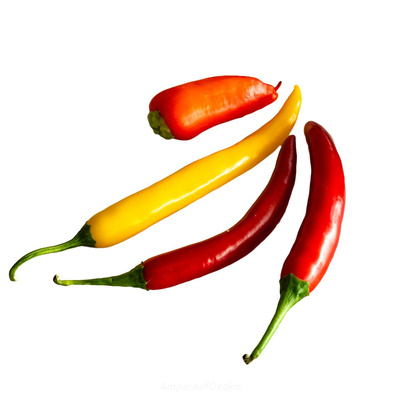Produktfoto zu Peperoni mix versch. Farben  mittelscharf ca. 50g
