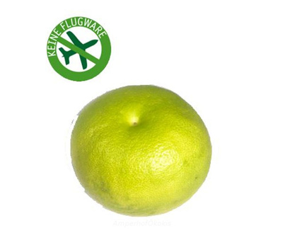 Produktfoto zu Grapefruit Sweetie