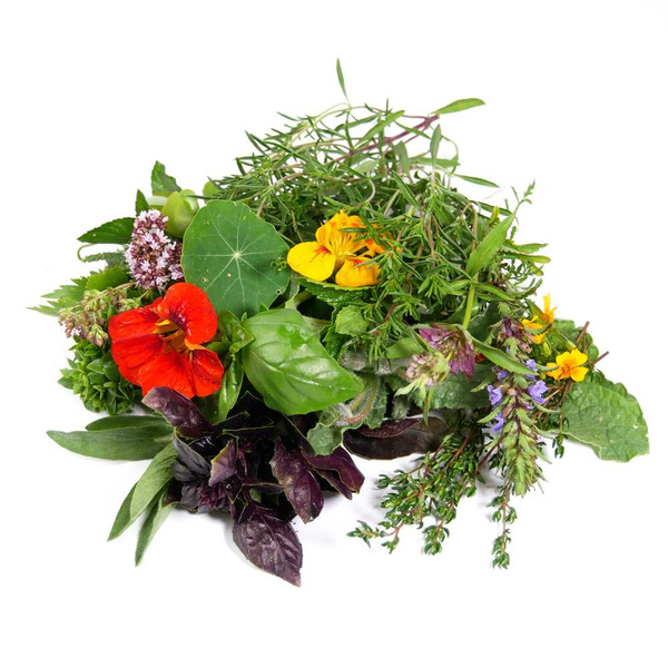 KI generiert: Ein buntes Bündel frischer Kräuter und essbarer Blüten auf weißem Hintergrund.