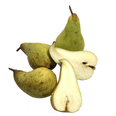 Produktfoto zu Birne Abate