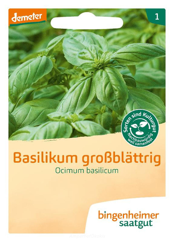 Produktfoto zu Saat: Basilikum großblättrig