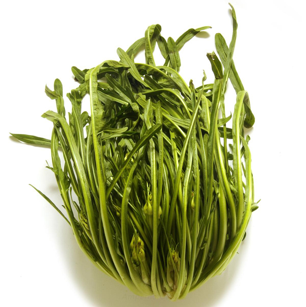 Produktfoto zu Puntarelle, Vulkanspargel ca.600g