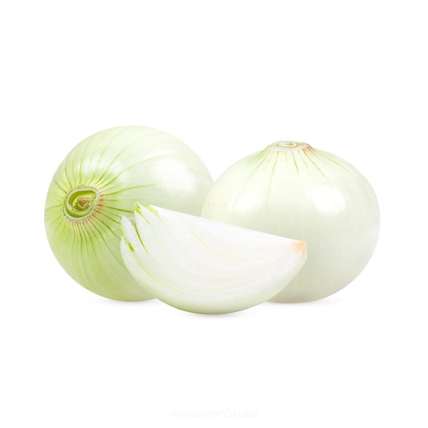 Produktfoto zu Frische Zwiebel