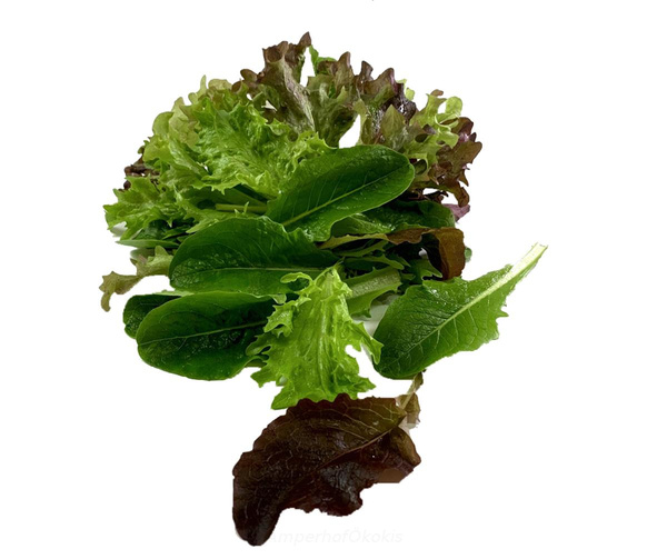 Produktfoto zu Pflücksalat, Schnittsalat ca.150g