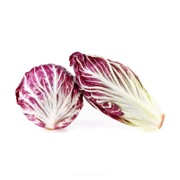 product photo for Radicchio