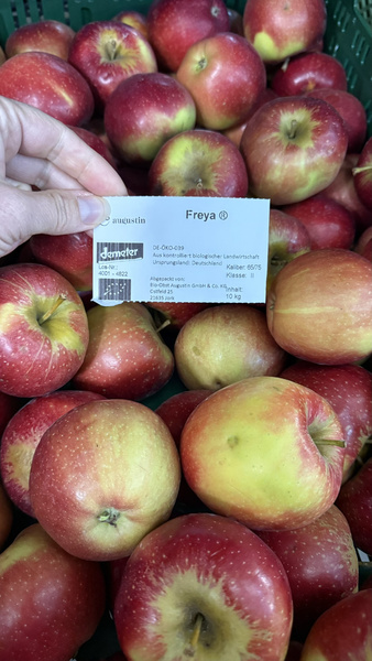 Freya