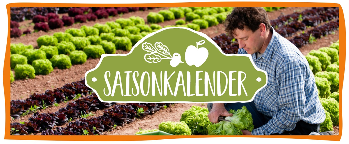 Saisonkalender-April-Header